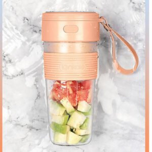 Portable Mini Juicer
